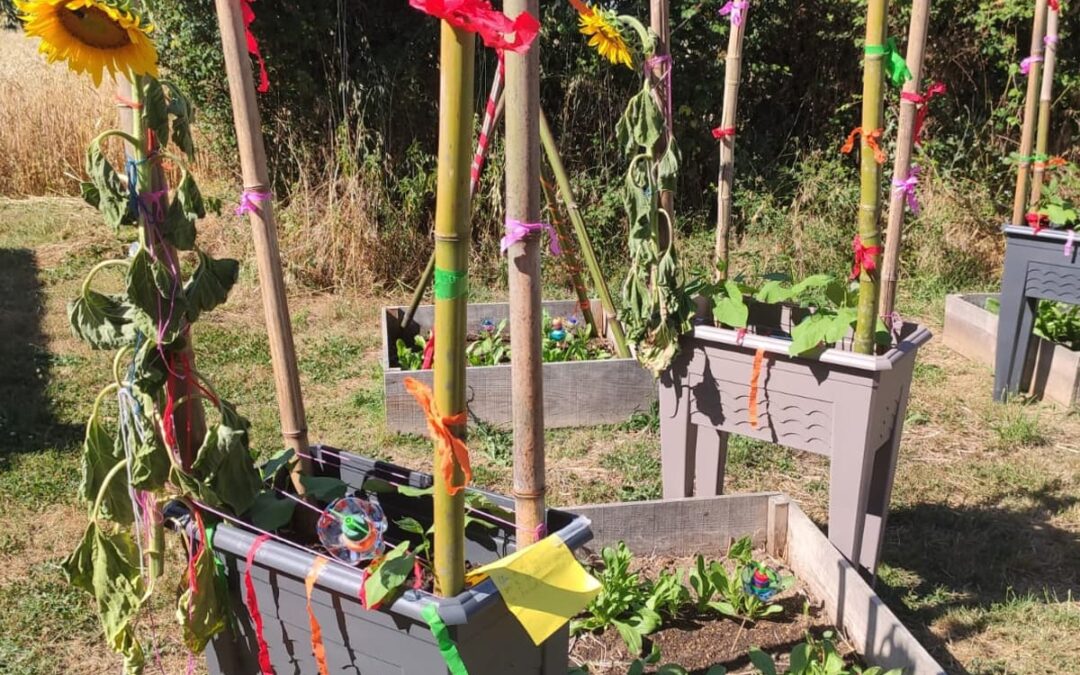 Potagers pédagogiques à l’école : coûts et bénéfices