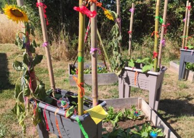 Potagers pédagogiques à l’école : coûts et bénéfices