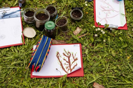 L’impact des potagers pédagogiques sur la connexion à la nature et le bien-être