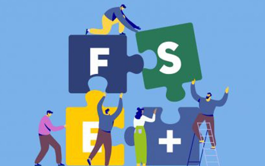 Evaluations et enquêtes des programmes nationaux du FSE+ « Emploi, inclusion, jeunesse et compétences » et du FTJ pour la période de 2021-2027