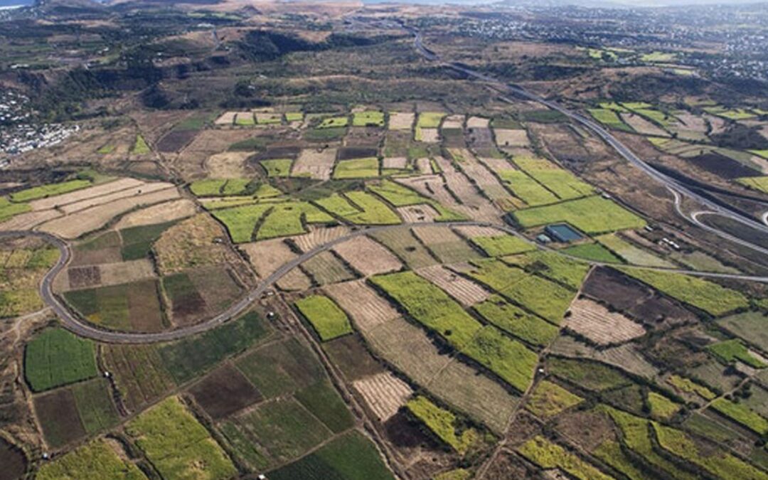 Évaluation du programme de développement rural du département de La Réunion