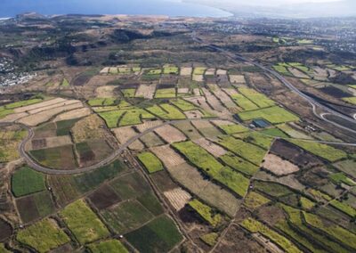 Évaluation du programme de développement rural du département de La Réunion